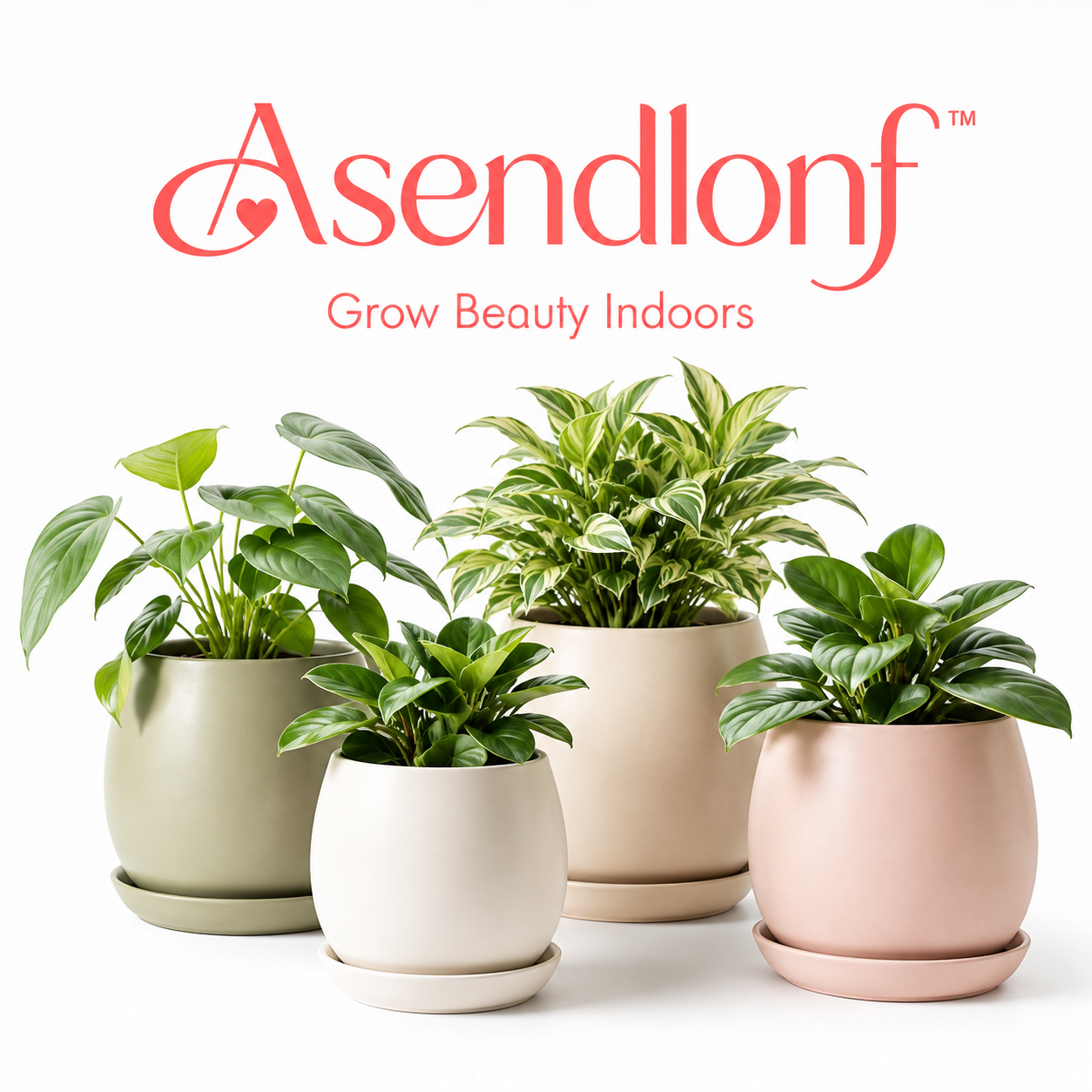 Asendlonf™ Modern Ceramic Plant Pot Set