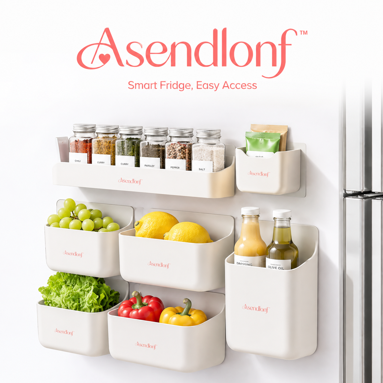 Asendlonf™ Magnetic Refrigerator Organizer Set